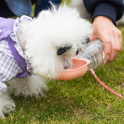 Mini Pet Travel Drinking Water Bowl