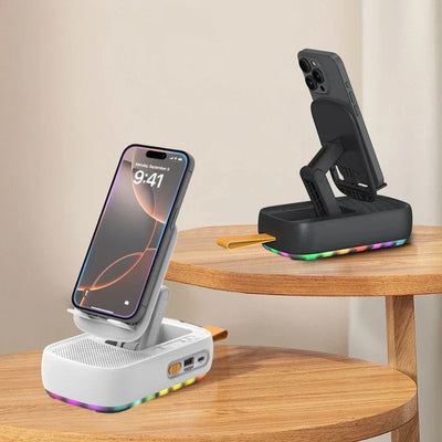 Multifunctional Stand Holder Mount (Specify Use)