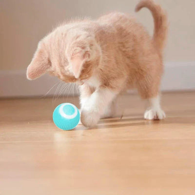 Pet Chew Toy Ball Interactive