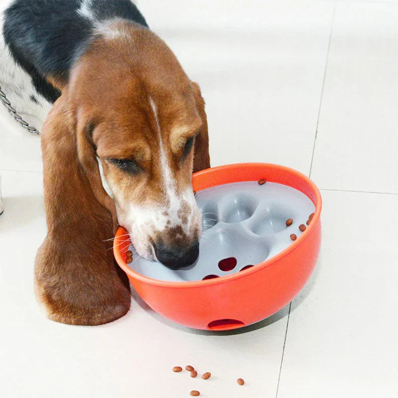 Pet Slow Feeder Puzzle Bowl Dish