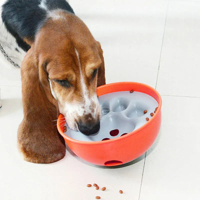 Pet Slow Feeder Puzzle Bowl Dish