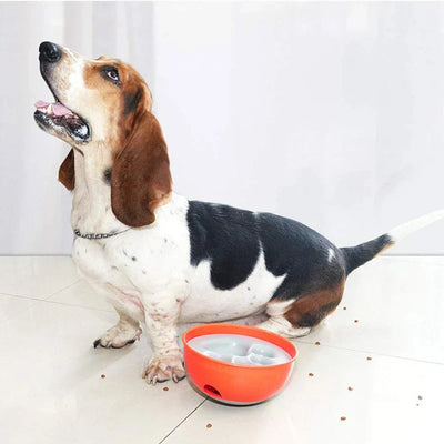 Pet Slow Feeder Puzzle Bowl Dish