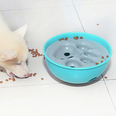 Pet Slow Feeder Puzzle Bowl Dish