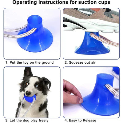 Pet Suction Cup Chew Ball Toy Molar